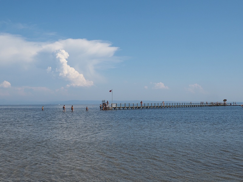Grado