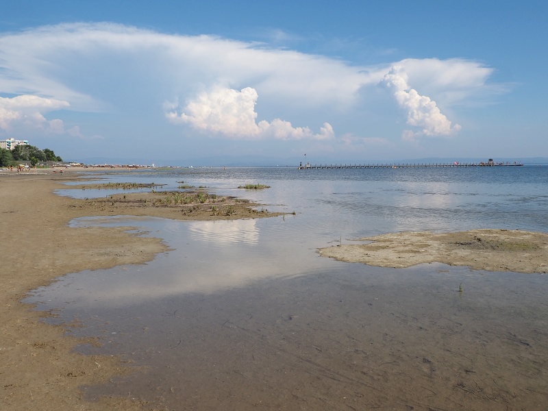 Grado