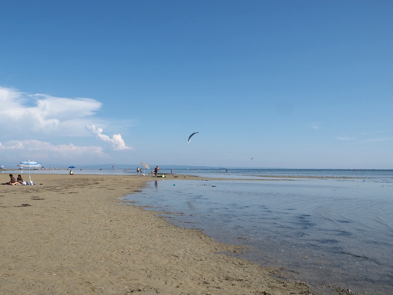 Grado