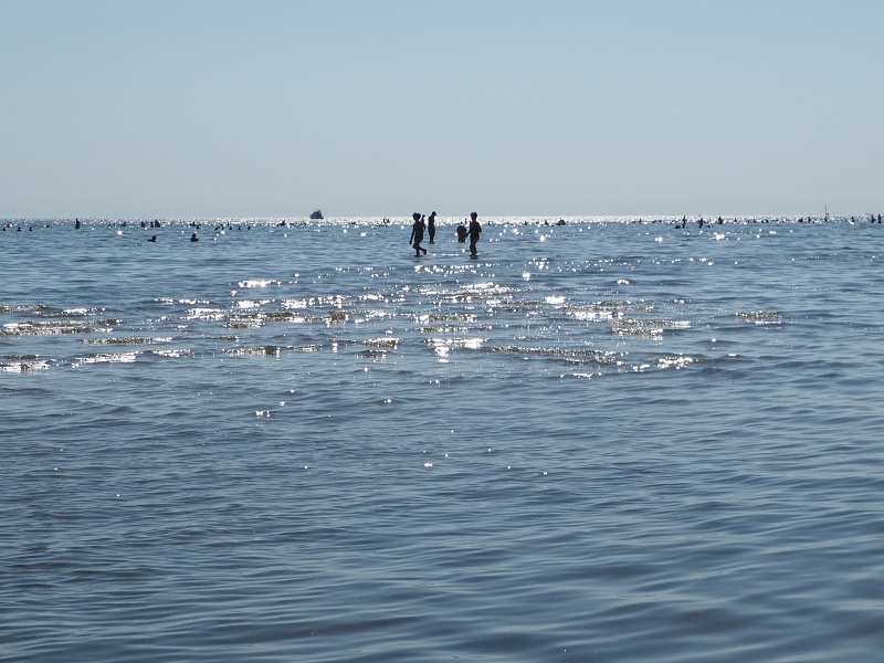 Grado