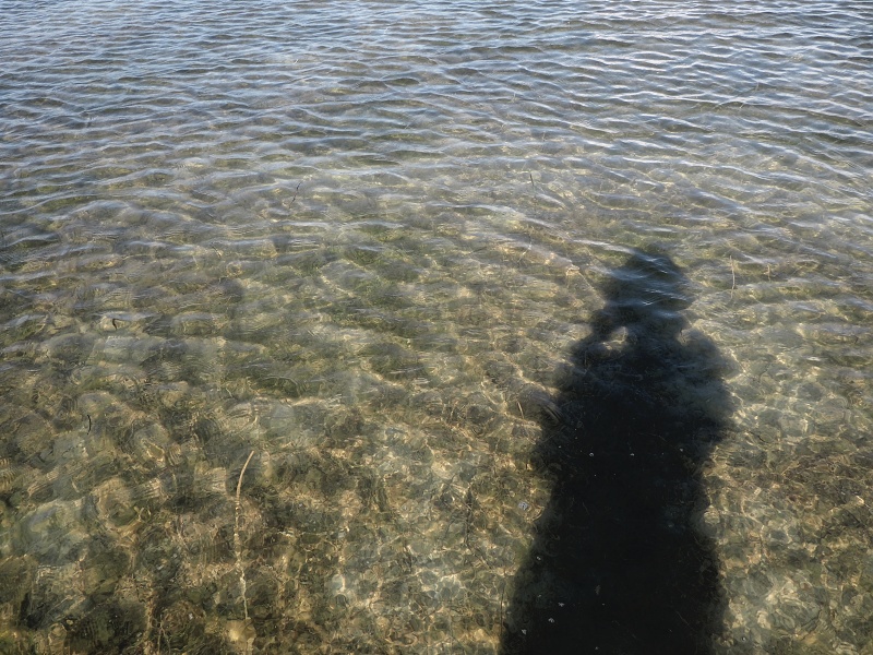 Grado