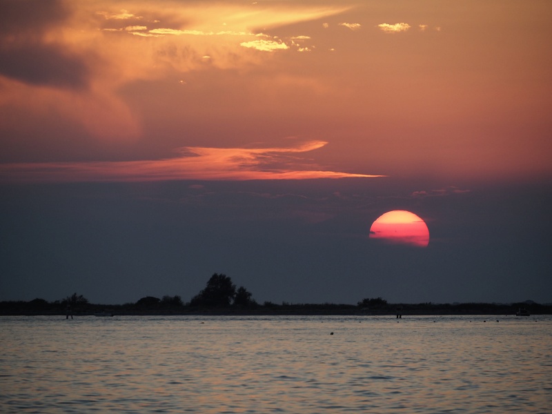 Grado