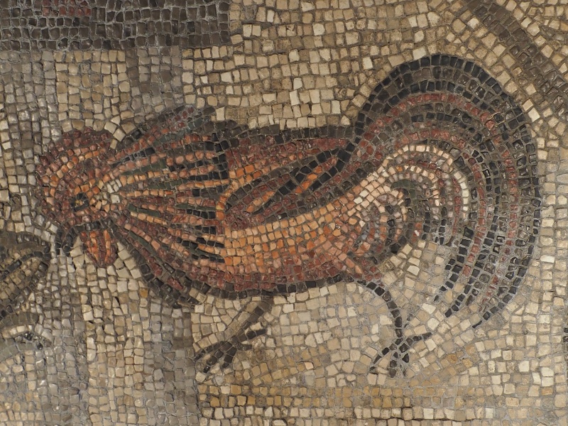 Aquileia