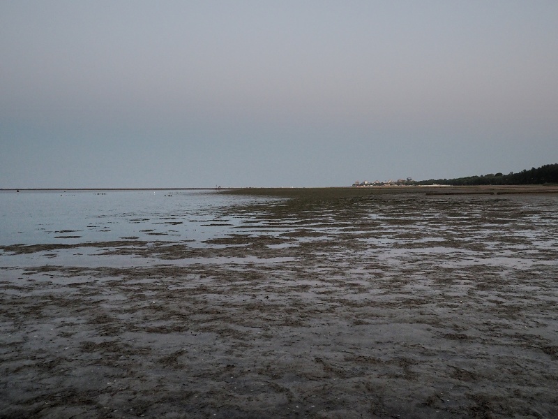 Grado