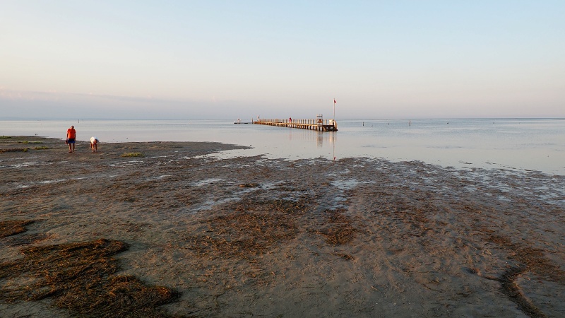 Grado