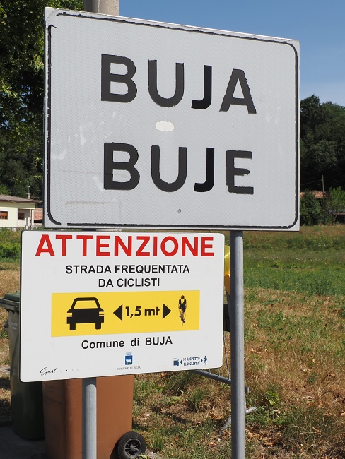 Buja