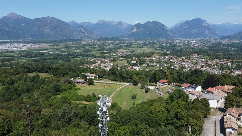 Buja