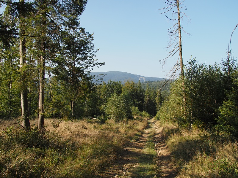 nad sedlem Hliny/Glinne