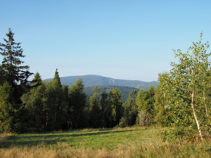 pod Jaworzynou