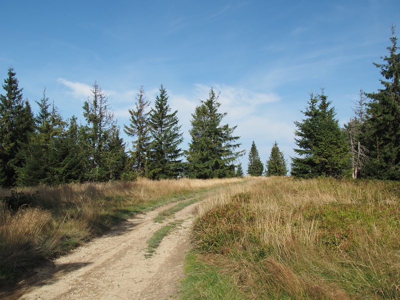 Modralová/Medralowa