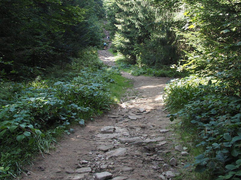 ze sedla Hliny/Glinne k chatě pod Pilskem