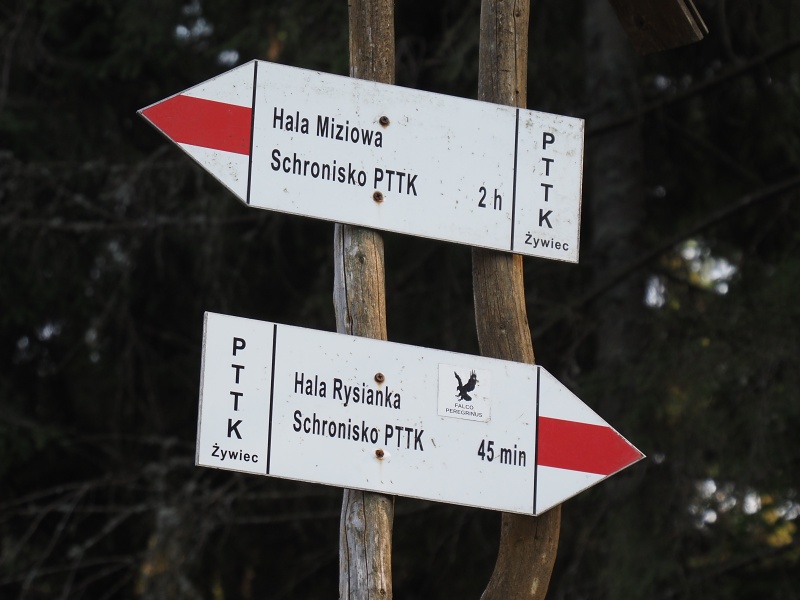 mezi Pilskem a Rysiankou