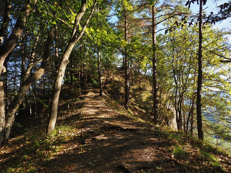 Súľovské skály