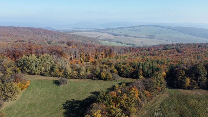 Bílé Karpaty
