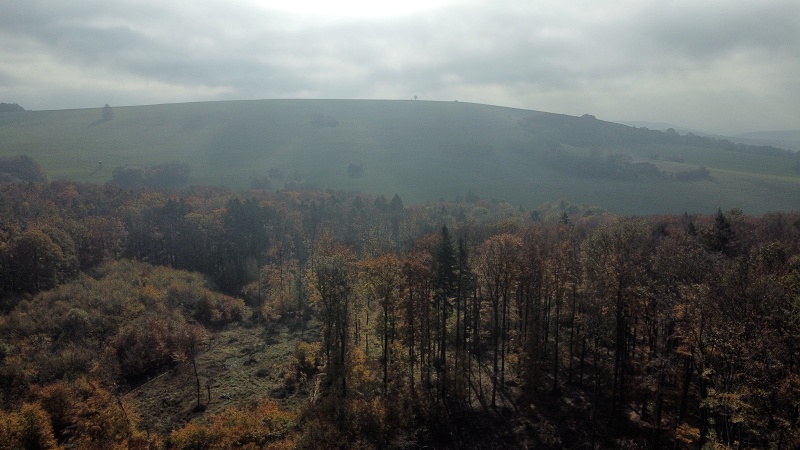 Bílé Karpaty