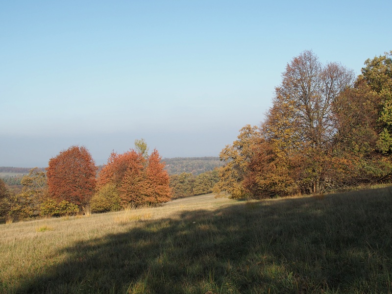 Bílé Karpaty