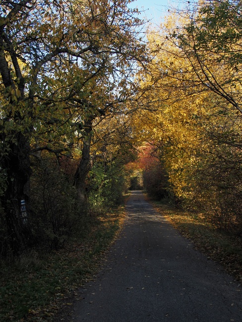 Bílé Karpaty