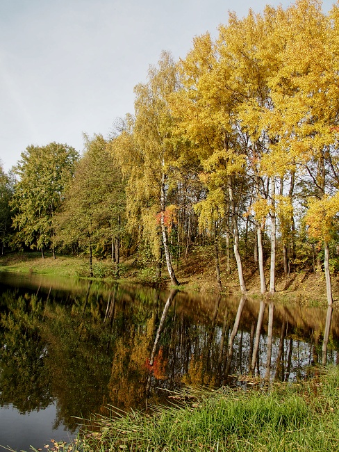 Bobrová