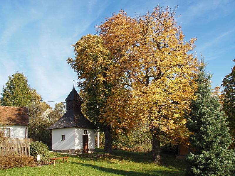 Bojanov