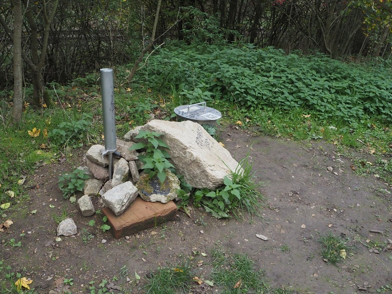 Borač