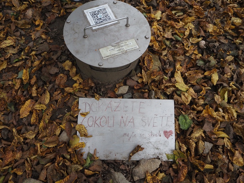 Borač