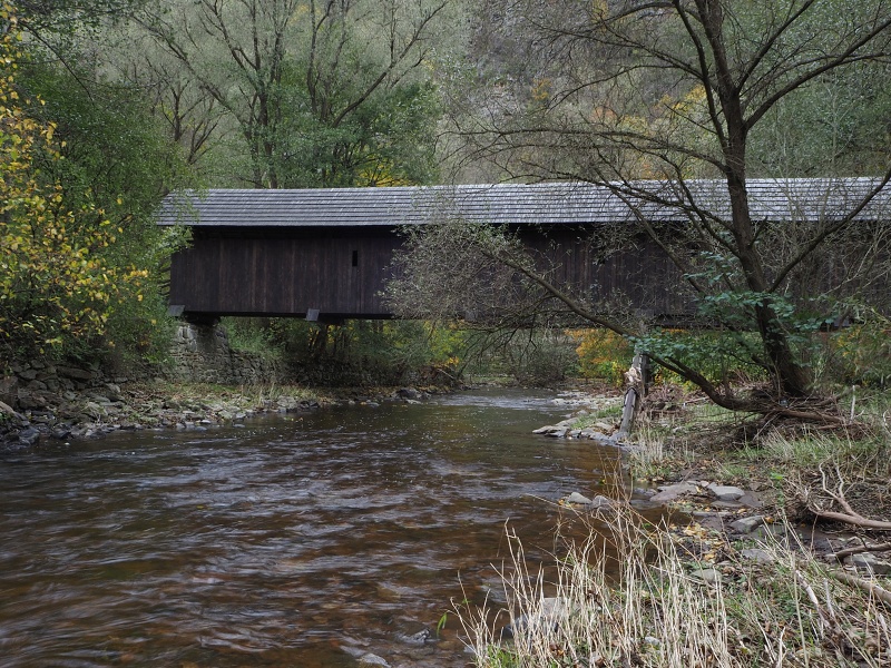 Borač