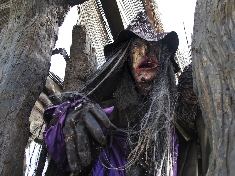 DRAXMOOR