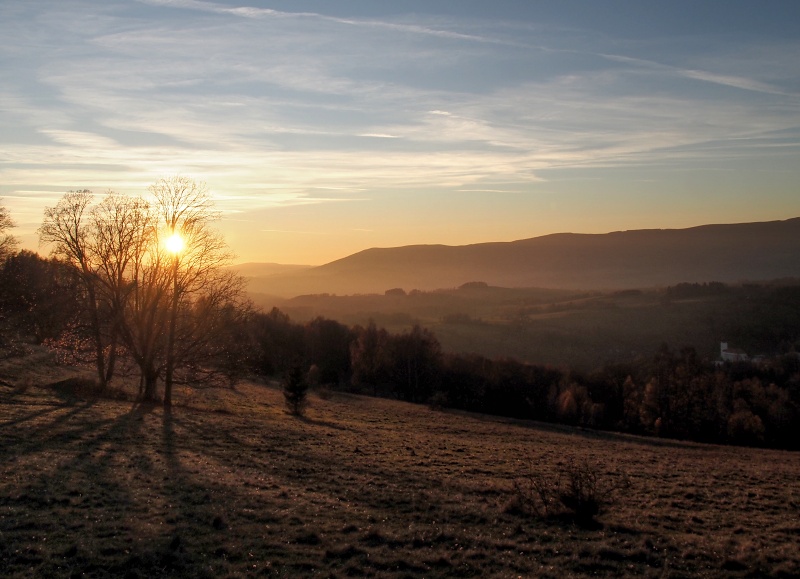Branná