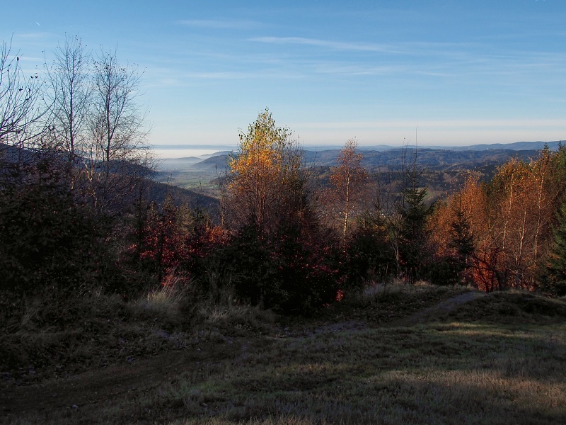 Kouty nad Desnou