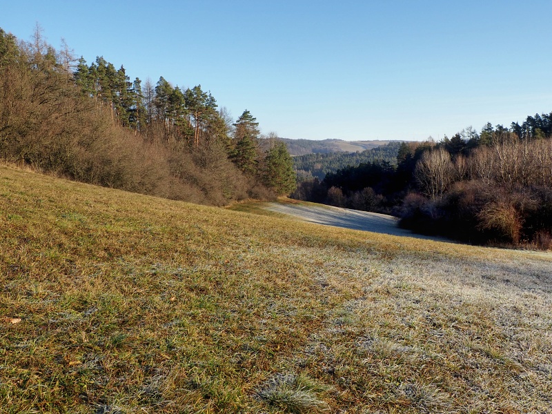Řikonín