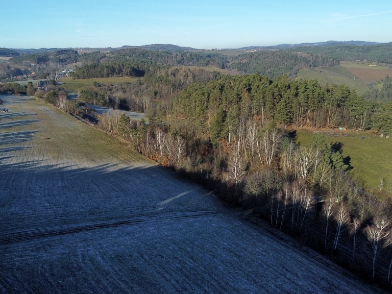 Řikonín
