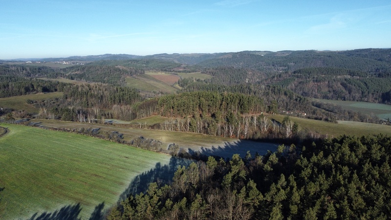 Řikonín