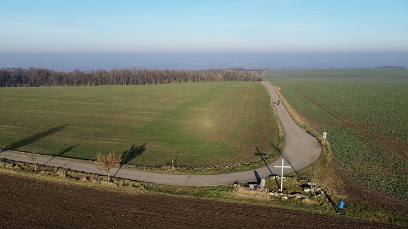Výhon