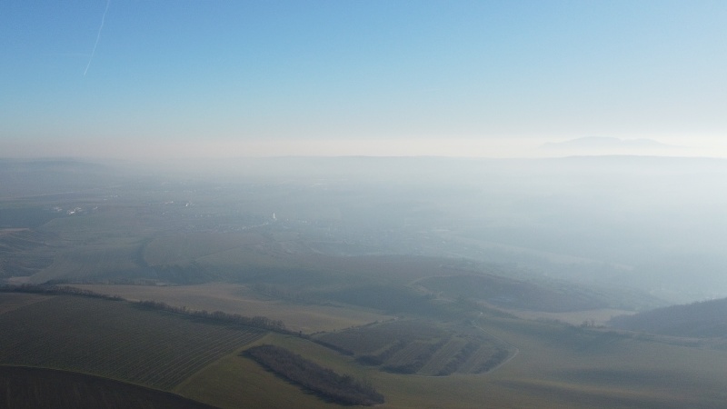 Výhon