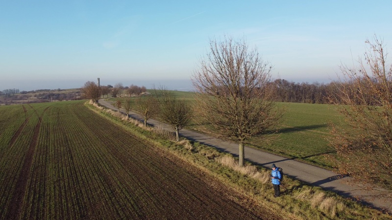 Výhon