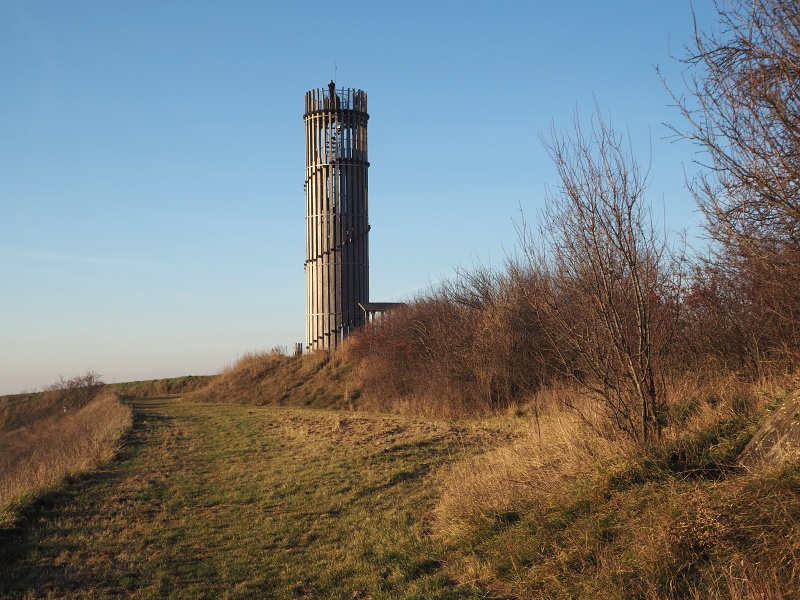 Výhon