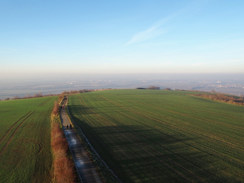 Výhon