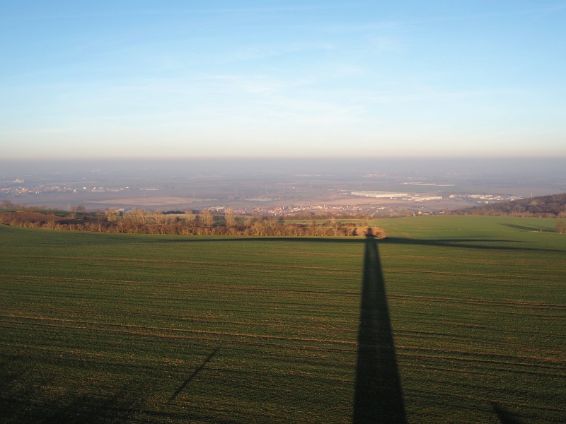 Výhon