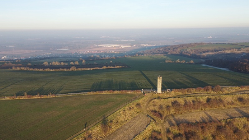 Výhon