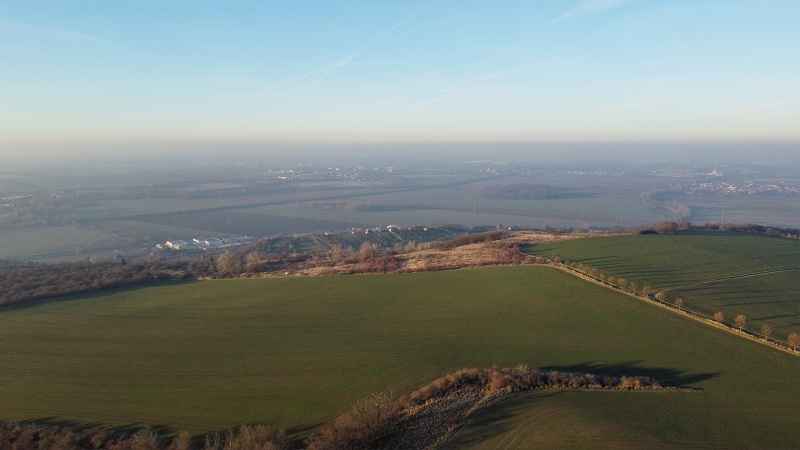 Výhon