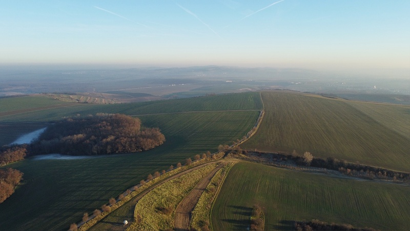 Výhon