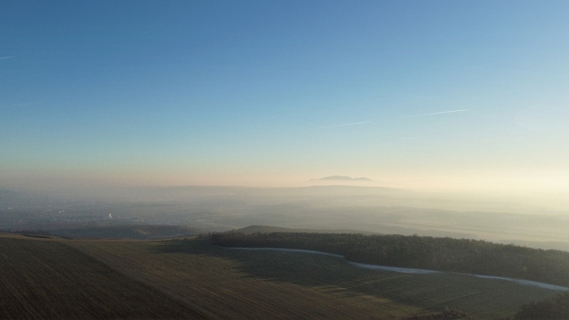 Výhon