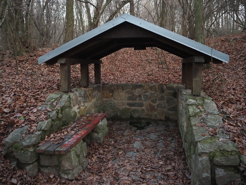 Výhon