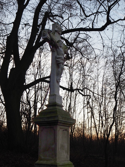 Výhon