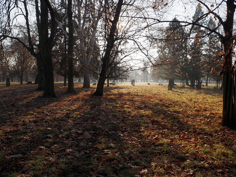 zámek Židlochovice