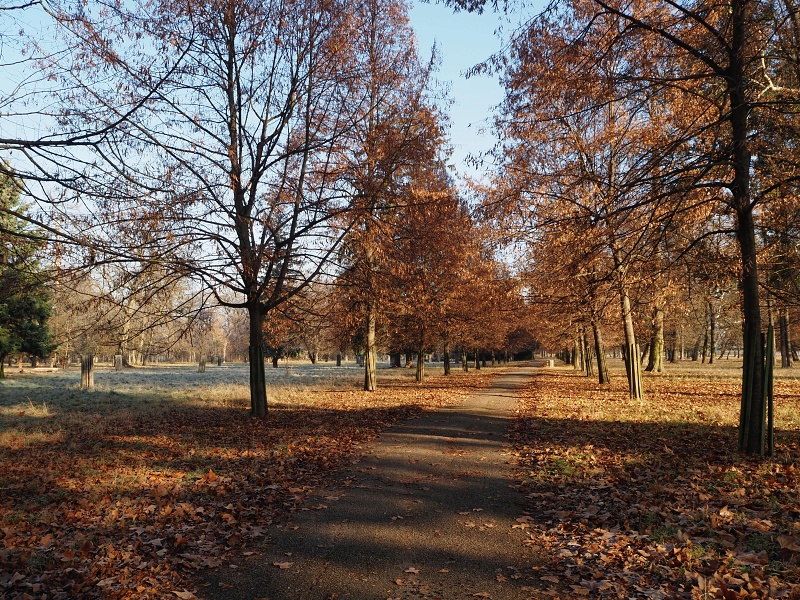 zámek Židlochovice