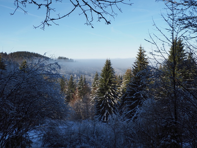 úbočím Čerňanské Kyčery