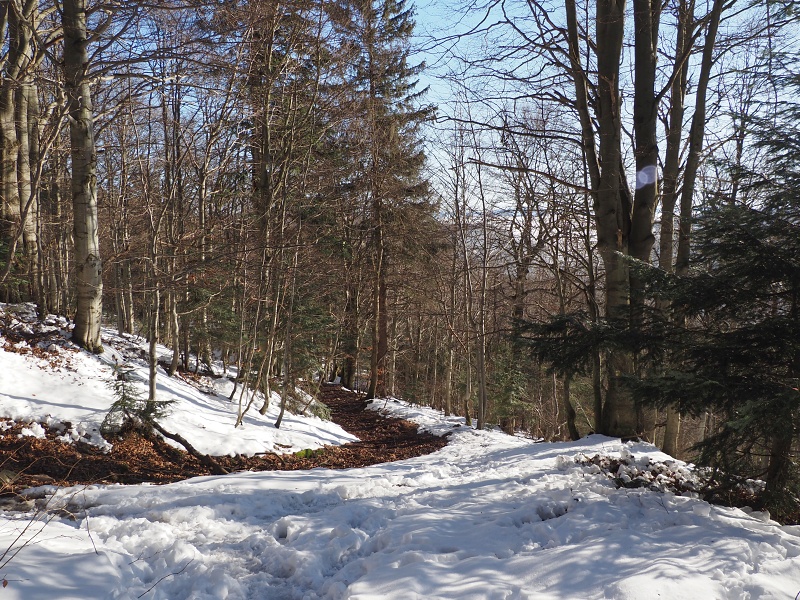 ze sedla Bukovina