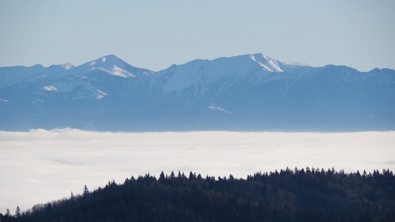 Bačkárka