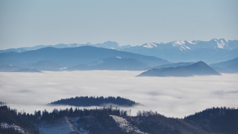 Bačkárka